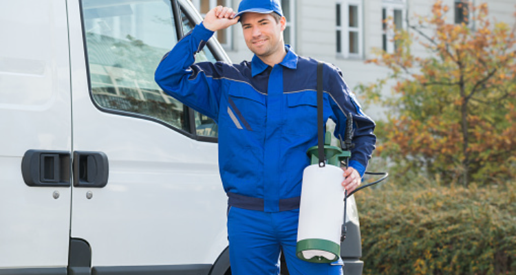 Hindustan Pest Control Services, Rajkot
