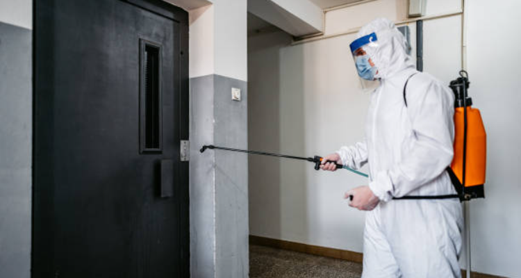 Rapid Pest Control India