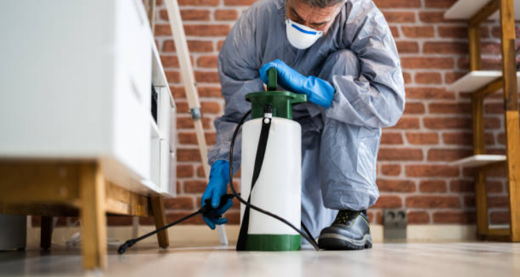 Rapid Pest Control India