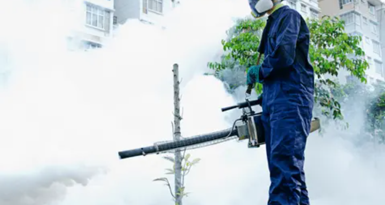 Pestcare India Pvt Ltd.- Pest Control Sevice | Termite | Cockroach | Rodent | Control