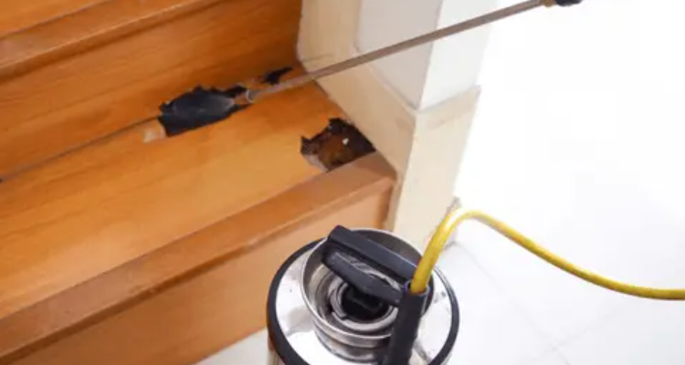 Pestcare India Pvt Ltd.- Pest Control Sevice | Termite | Cockroach | Rodent | Control