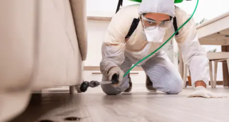 Pestcare India Pvt Ltd.- Pest Control Sevice | Termite | Cockroach | Rodent | Control