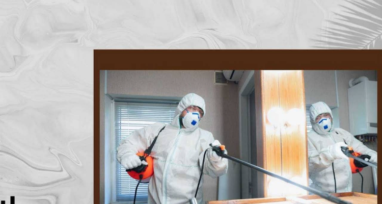 Span Shield Pest Control Service