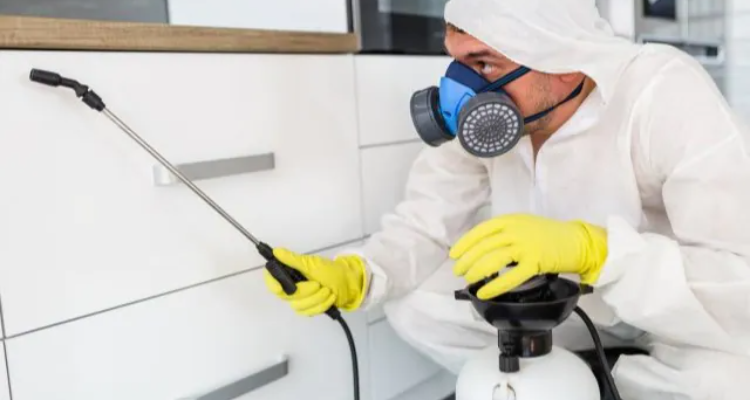 Keetak Pest Management