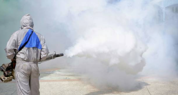 P and P Pest Control Bapunagar