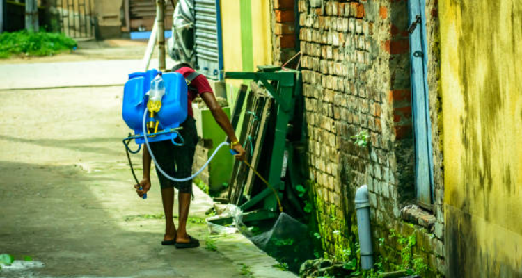 P and P Pest Control Bapunagar