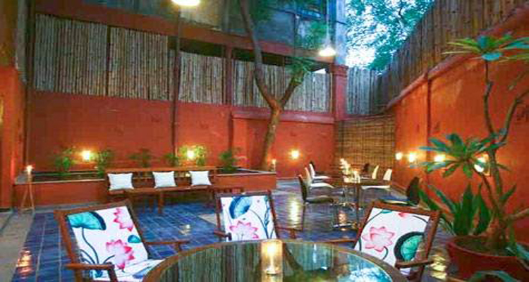 The Lotus Pool