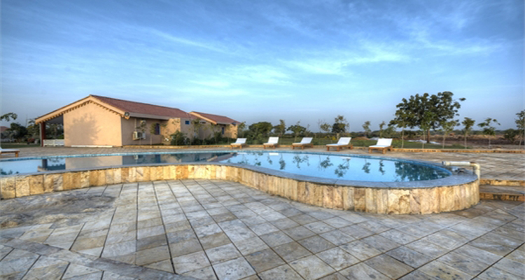 The Midas Touch Resort