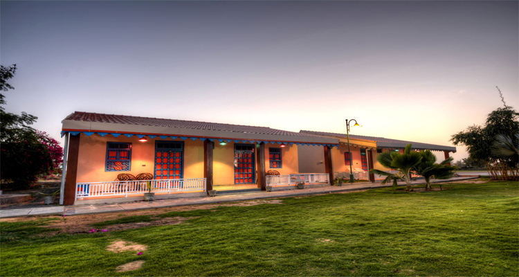 The Midas Touch Resort