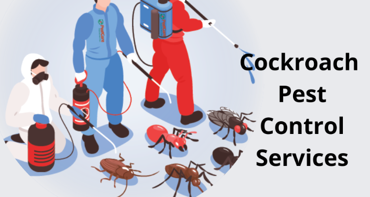 A Sai Pest Control