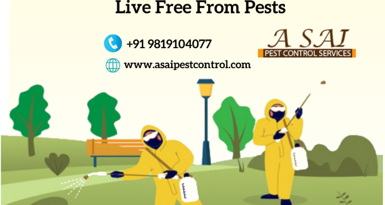A Sai Pest Control