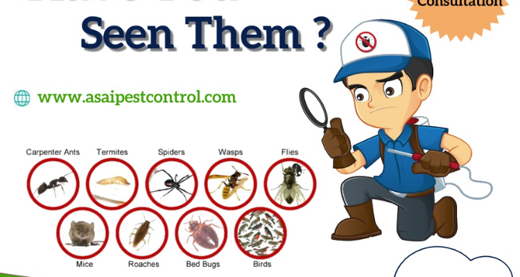 A Sai Pest Control