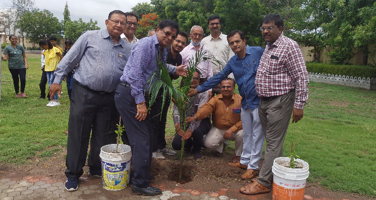 Sunflower School - Jamnagar