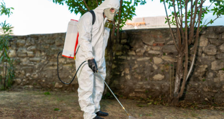 Pest Mortem (INDIA) Pvt. Ltd.