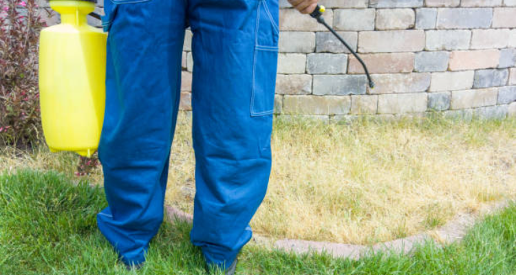 Anti Pest Services