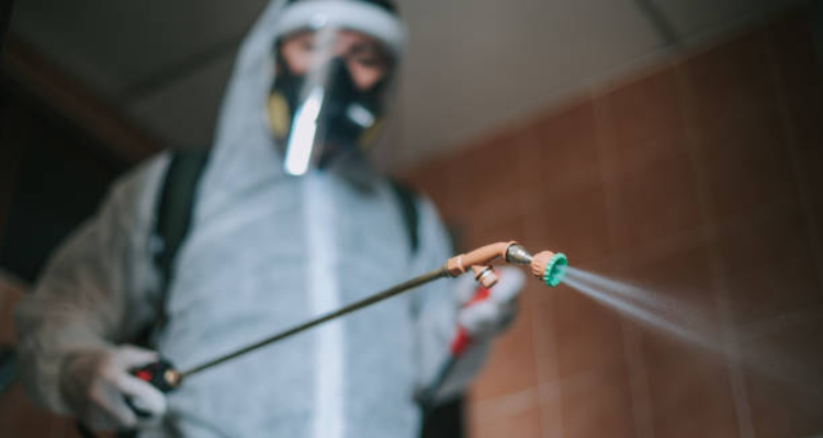 GUJARAT PEST CONTROL SERVICES