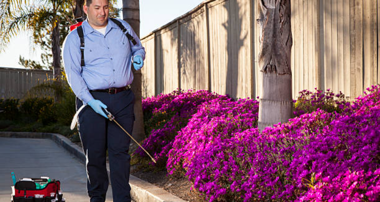 Vazir Pest Control - Sayajigunj