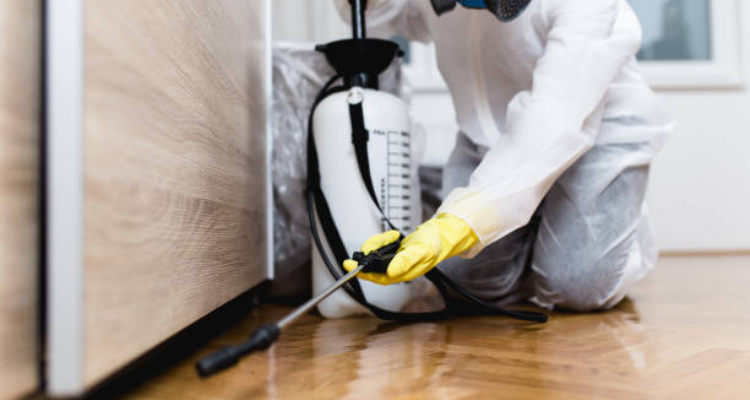 Vazir Pest Control - Sayajigunj