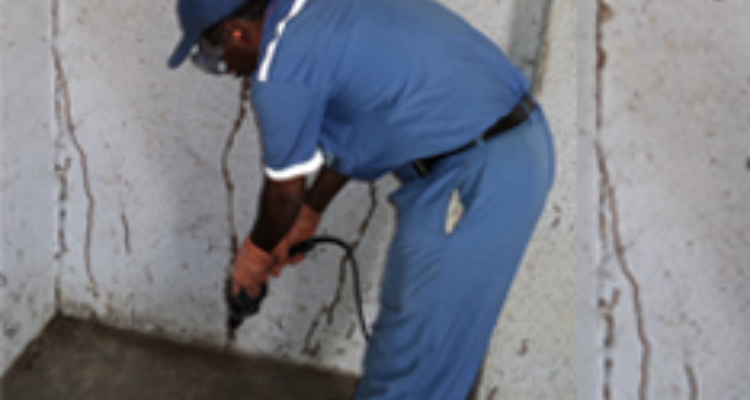Midas Pest Control Services