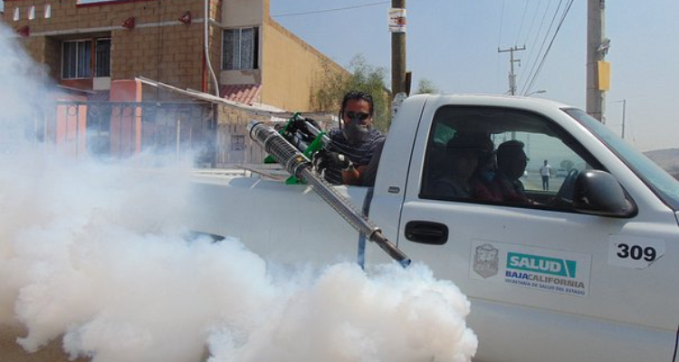 Midas Pest Control Services