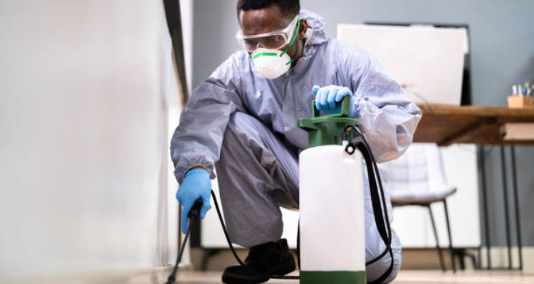 Sai baba pest control