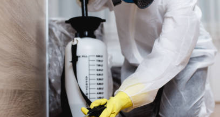 Sai baba pest control