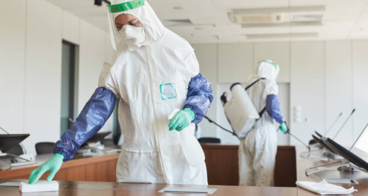 Sai baba pest control