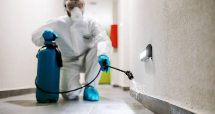 DK PEST CONTROL SURAT