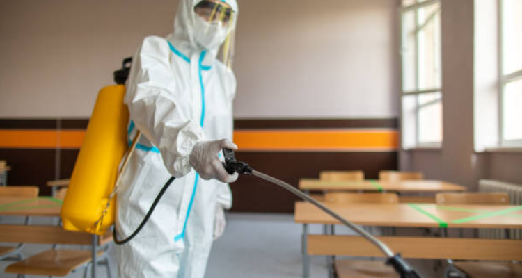 Trap Pest Solutions