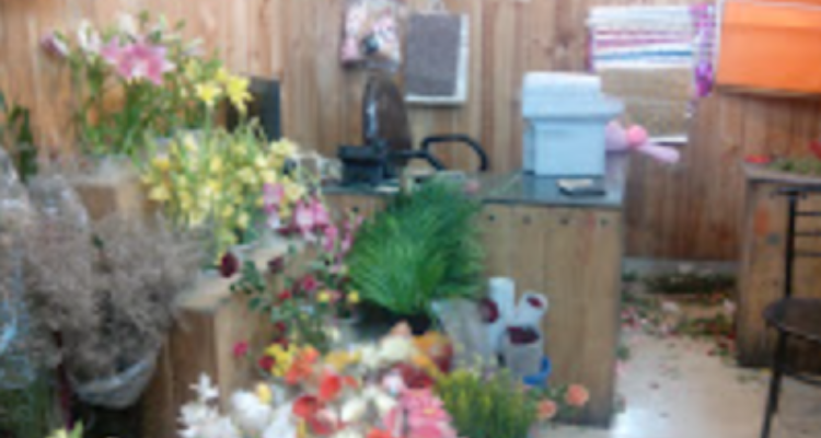 FNP: Florist in Dehradun