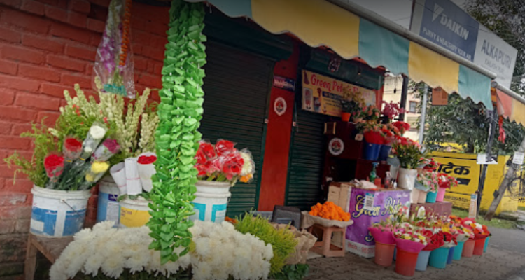 Green petals florist dehradun