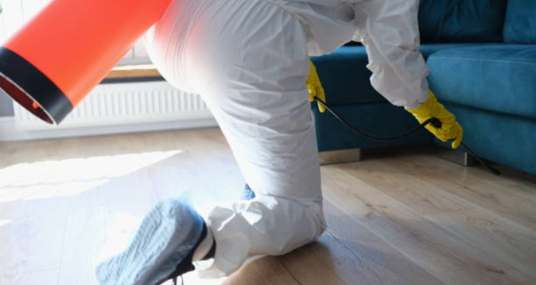 Gujarat Pest Control Services