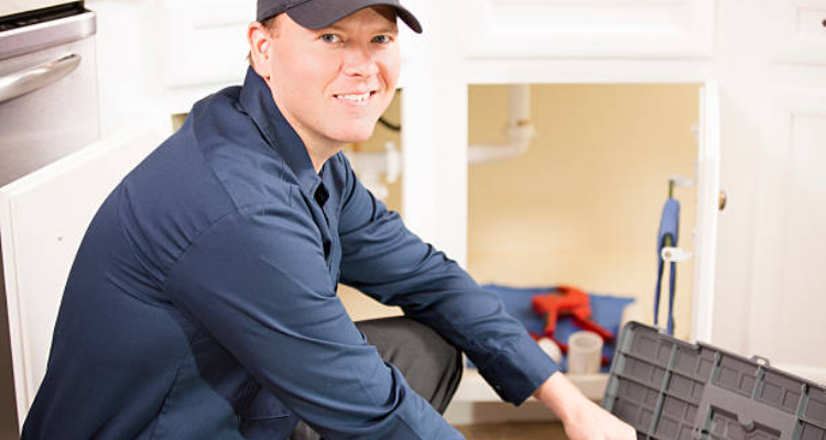 Gujarat Pest Control Services