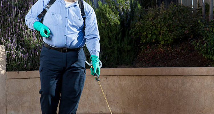 Moin Darjada