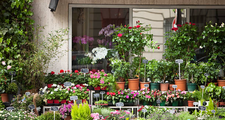 Maa Florist