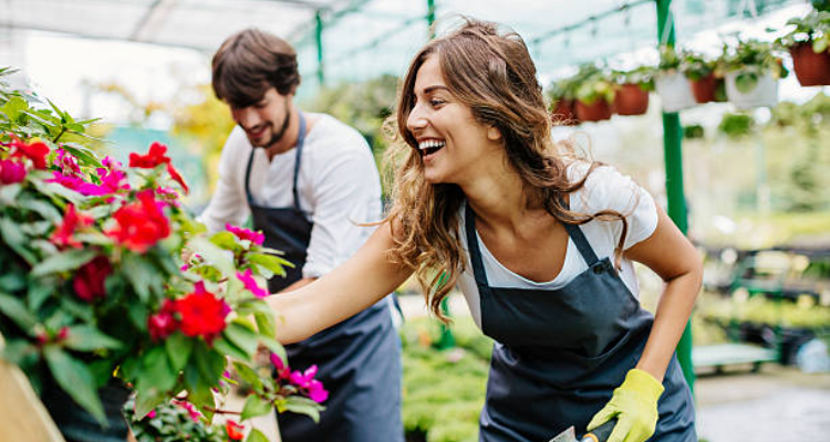 Ardhya florist