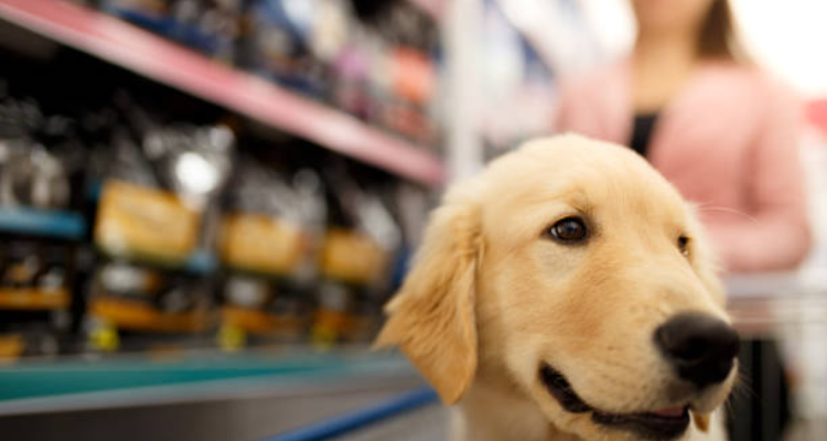 Anurag Pet Shop