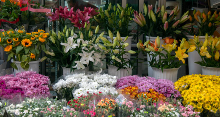 Real Flowers & Balloonwala