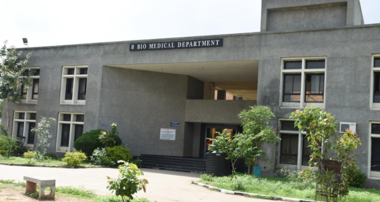Government Engineering College,Gandhinagar