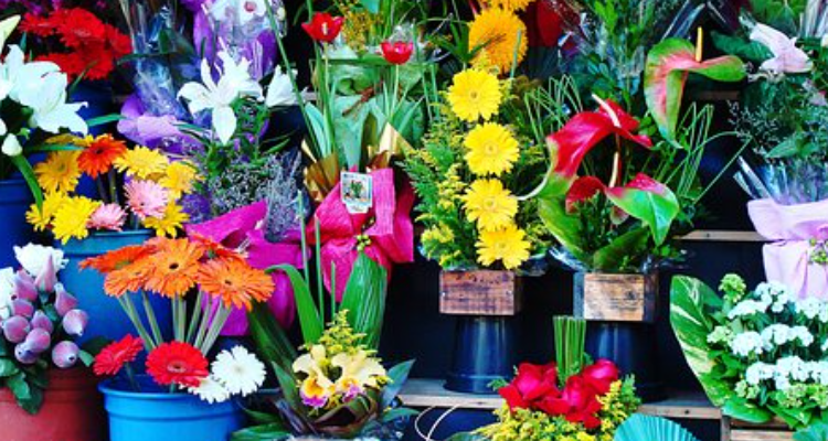 Rami Flowers.