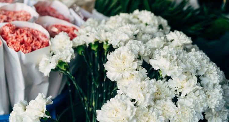 Aristo Florist