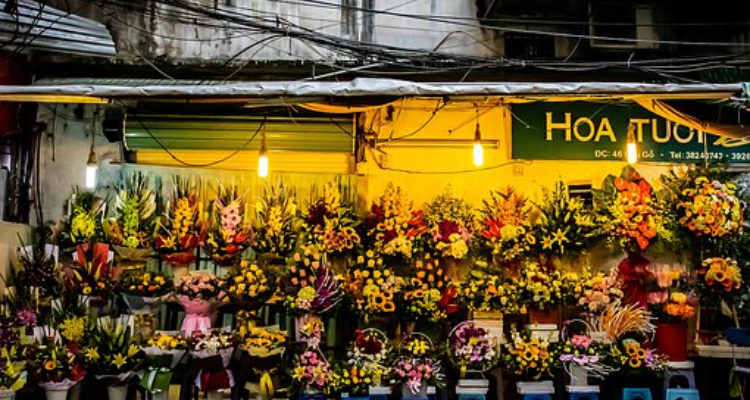Aristo Florist
