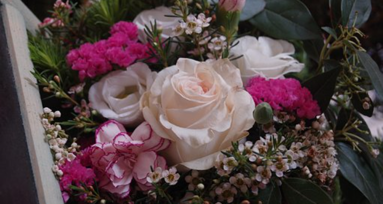 Aristo Florist