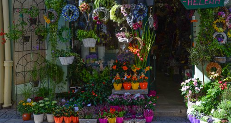 Samir Florist