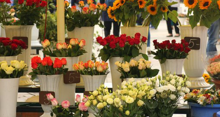 Ahmedabad Florists