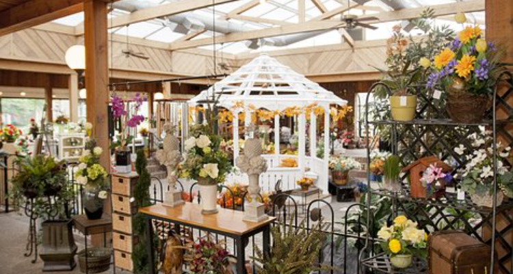 Ahmedabad Florists