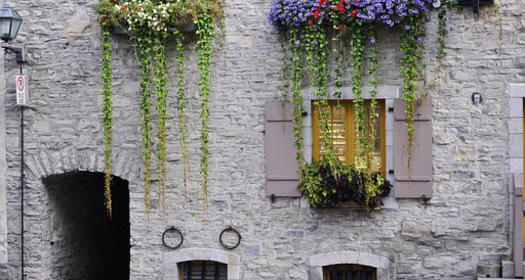 Emotions Florist