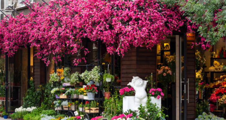 Jay Flower Mart