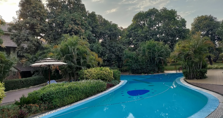 Infinity Pool