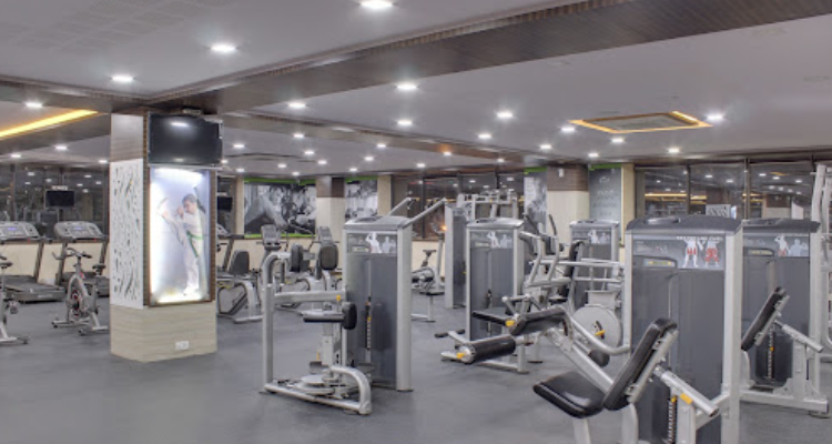 Stallon Gym